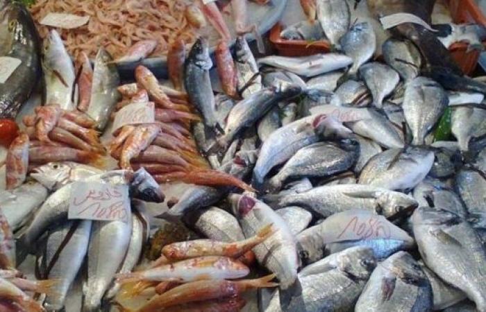 رئيس شعبة الأسماك في بورسعيد: منبع المشكلة جشع صاحب المركب والمزرعة وليس التاجر
