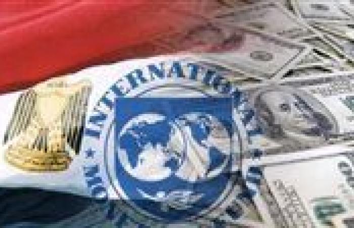صندوق النقد الدولي: مصر ستعالج تسهيلات السحب على المكشوف وأنشطة خارج الميزانية