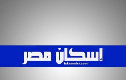 السيرة الذايتة للدكتور حسن الشوربجي نائب وزير الإسكان