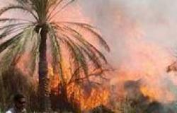 أسوان.. ميكانيكي يشعل النار في أرض زراعية بسبب خلافات جيرة
