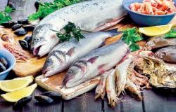 أسعار السمك اليوم الجمعة 3 مايو 2024، البلطي بـ 53 جنيه