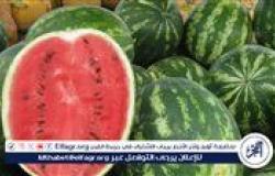 رسالة طمأنة من "الزراعة" للمصريين بشأن البطيخ