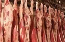سعر اللحوم في السوق المصري اليوم الاثنين 6 - 5 – 2024