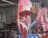 حملة "خليها متعلقة" تضغط علي أسعار اللحوم بالأسواق الخميس 2 مايو 2024