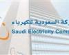 بـ 3 مليارات دولار.. "السعودية للكهرباء" تعلن إغلاق التمويل لمحطتي طاقة