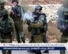 الاحتلال: عملية الإخلاء من شرق رفح الفلسطينية تشمل نحو 100 ألف شخص